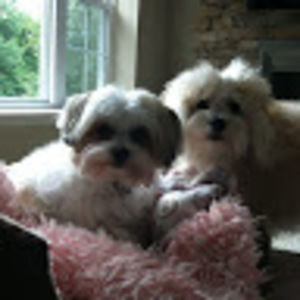 Meet your Posher, Debbie